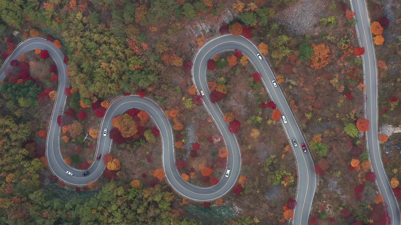 韩国忠清北道丹阳枪秋季Bobaljae Pass (Famus上坡路)驾驶课程视频下载