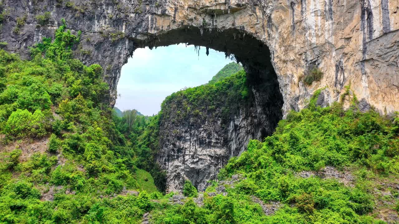 原始森林中有一个巨大的洞穴视频素材