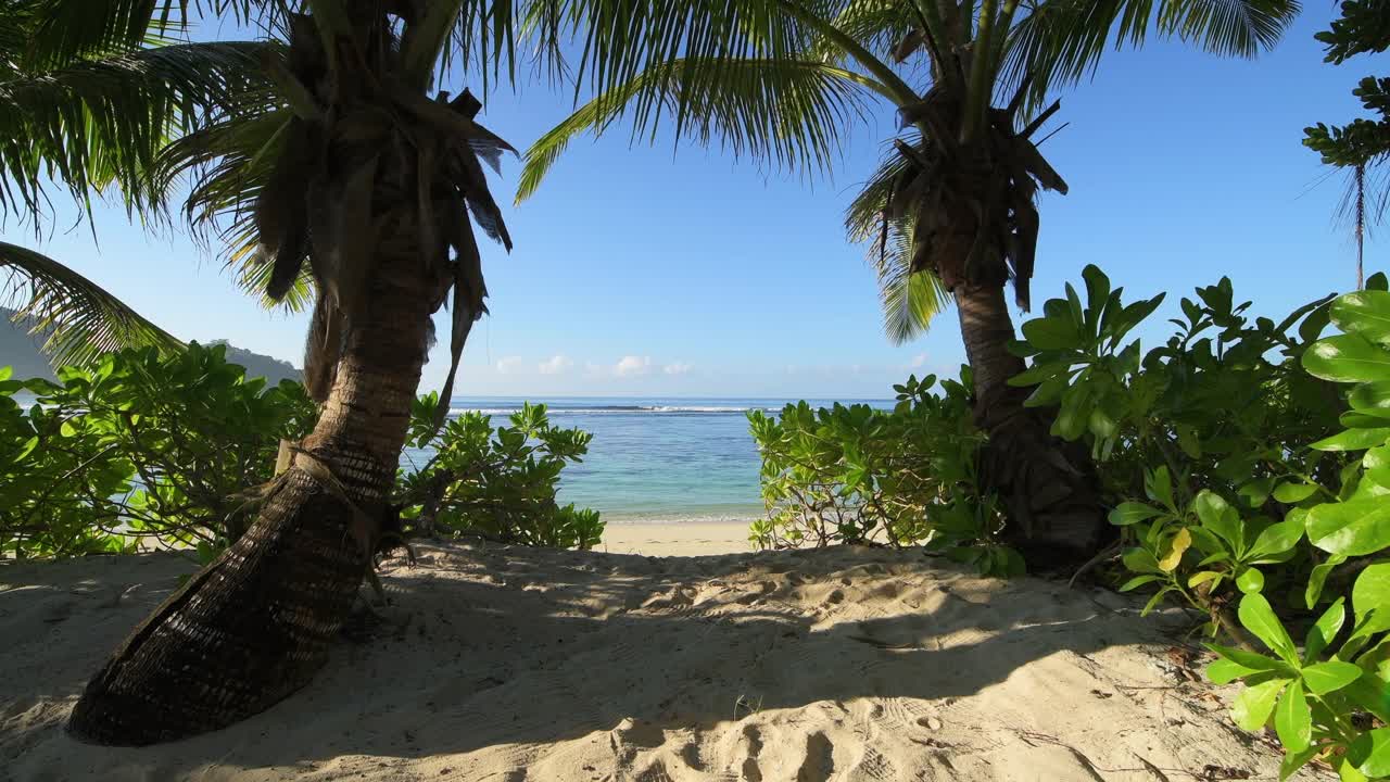 塞舌尔的拜伊拉扎尔热带海滩，棕榈树视频下载