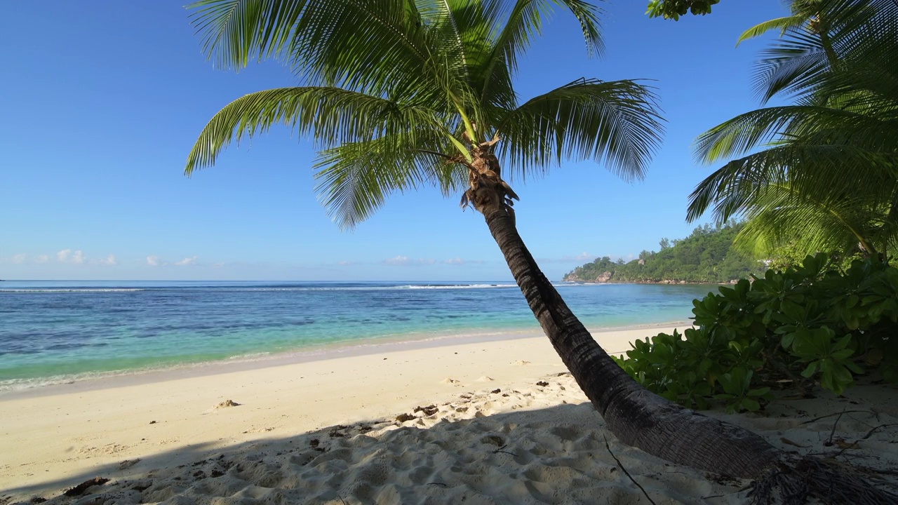 印度洋塞舌尔，马埃岛，拜伊拉扎尔，空荡荡的海滩视频下载
