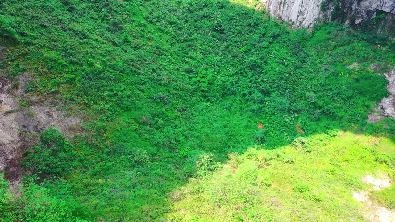 原始森林中有一个巨大的洞穴视频素材