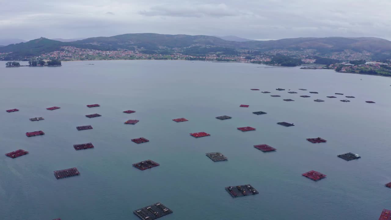 在大西洋，蓬特韦德拉，加利西亚，西班牙水产养殖视频下载