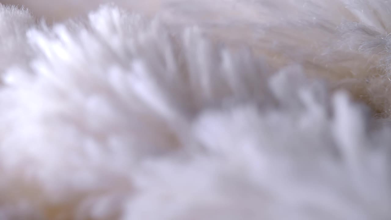 微距特写镜头上的白色人造毛皮。视频素材