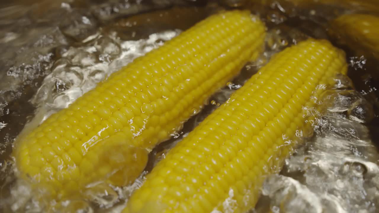 缓慢的运动。熟透的玉米穗放在沸水里，以增进健康。热锅里的黄色玉米。版本1视频素材
