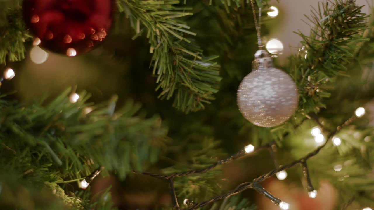 猫在树上玩圣诞球的特写视频下载