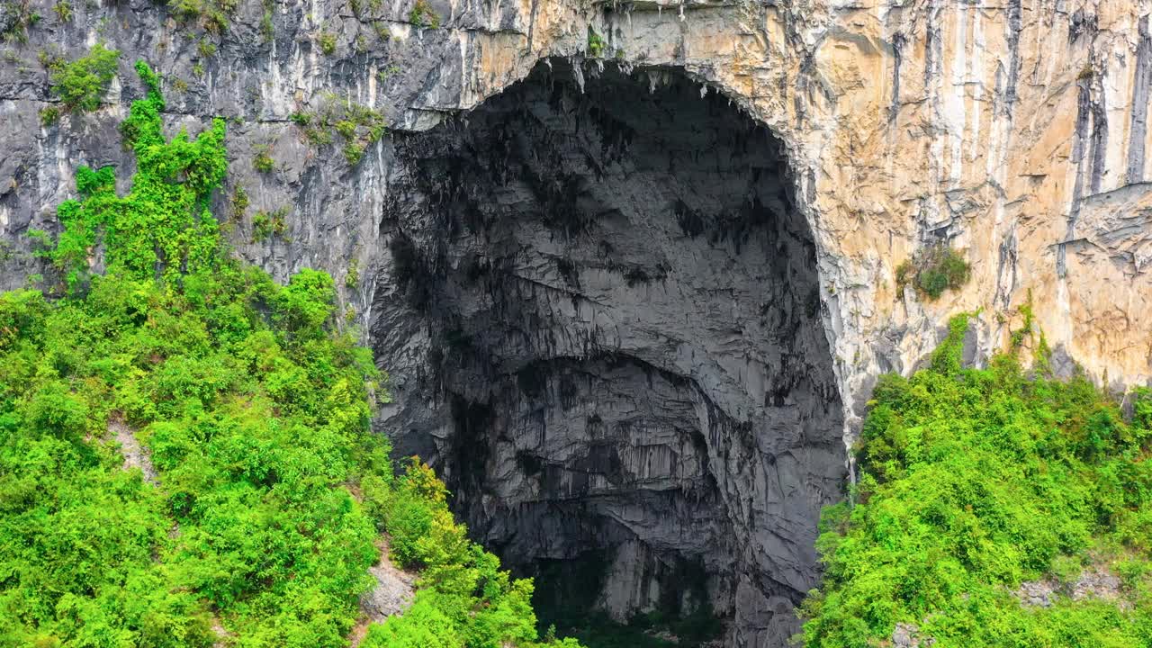 在原始森林中有一个巨大的洞穴视频素材