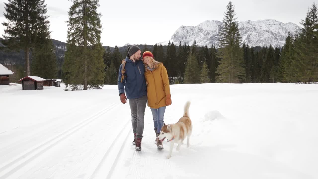 情侣在散步与西伯利亚哈士奇视频下载