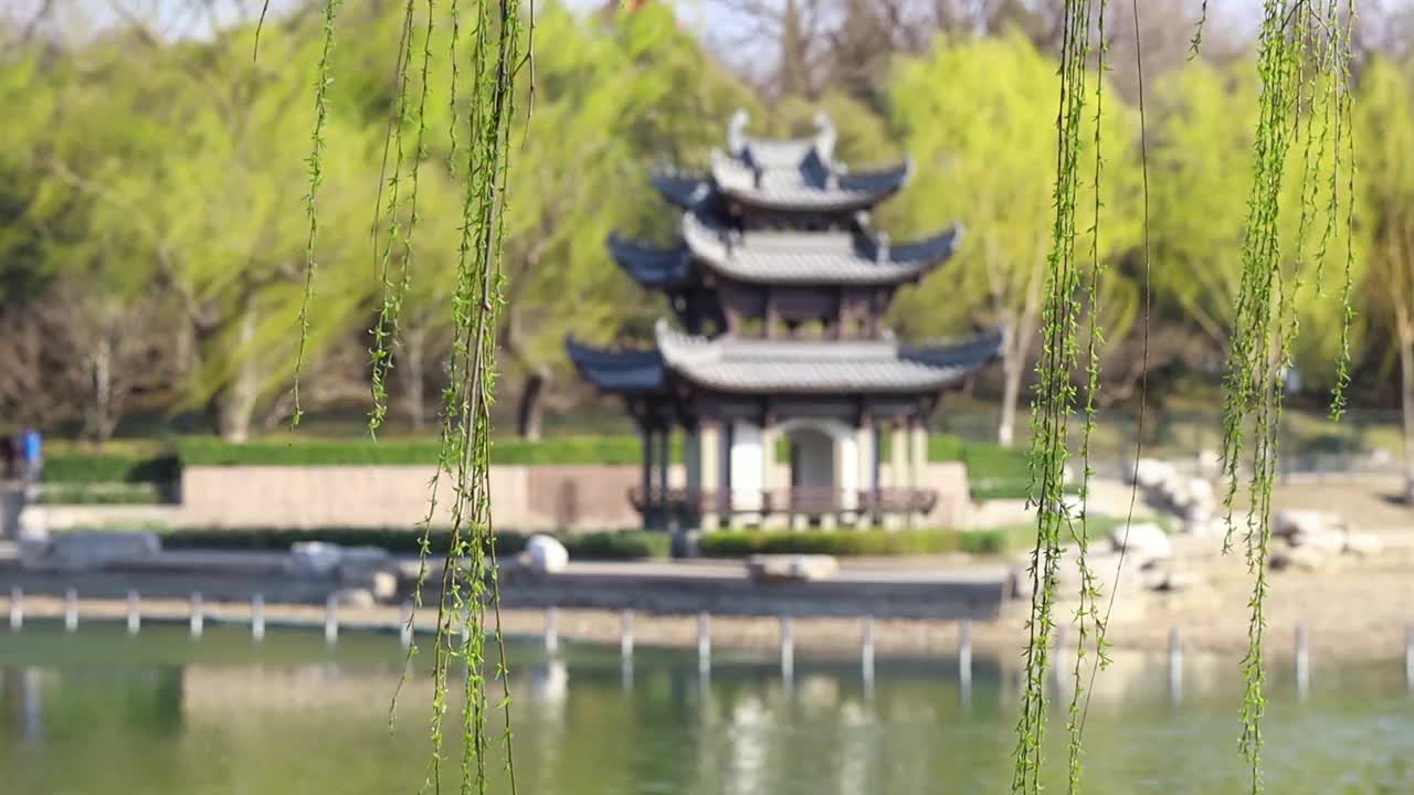 中国园林春色背景视频素材