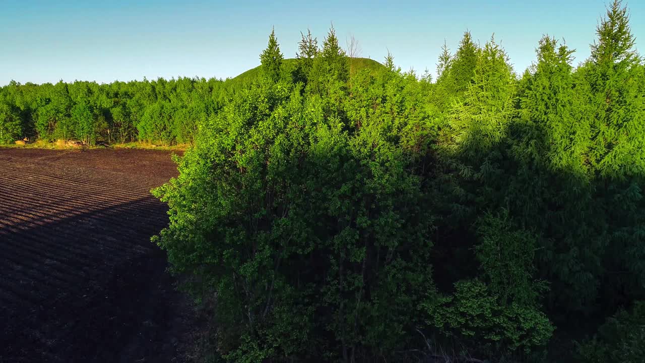 在绿色的原始森林中隐藏着一座火山视频下载