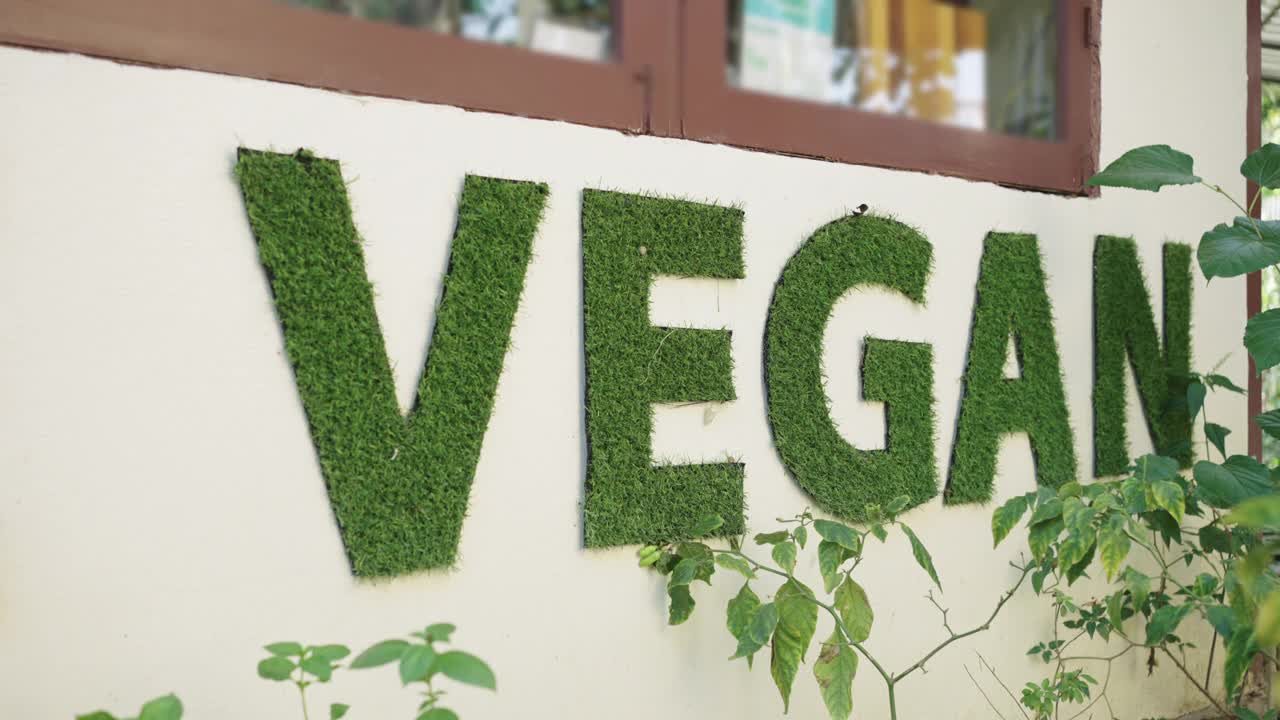 两杯绿色有机“素食主义者”的牌子在墙上视频下载