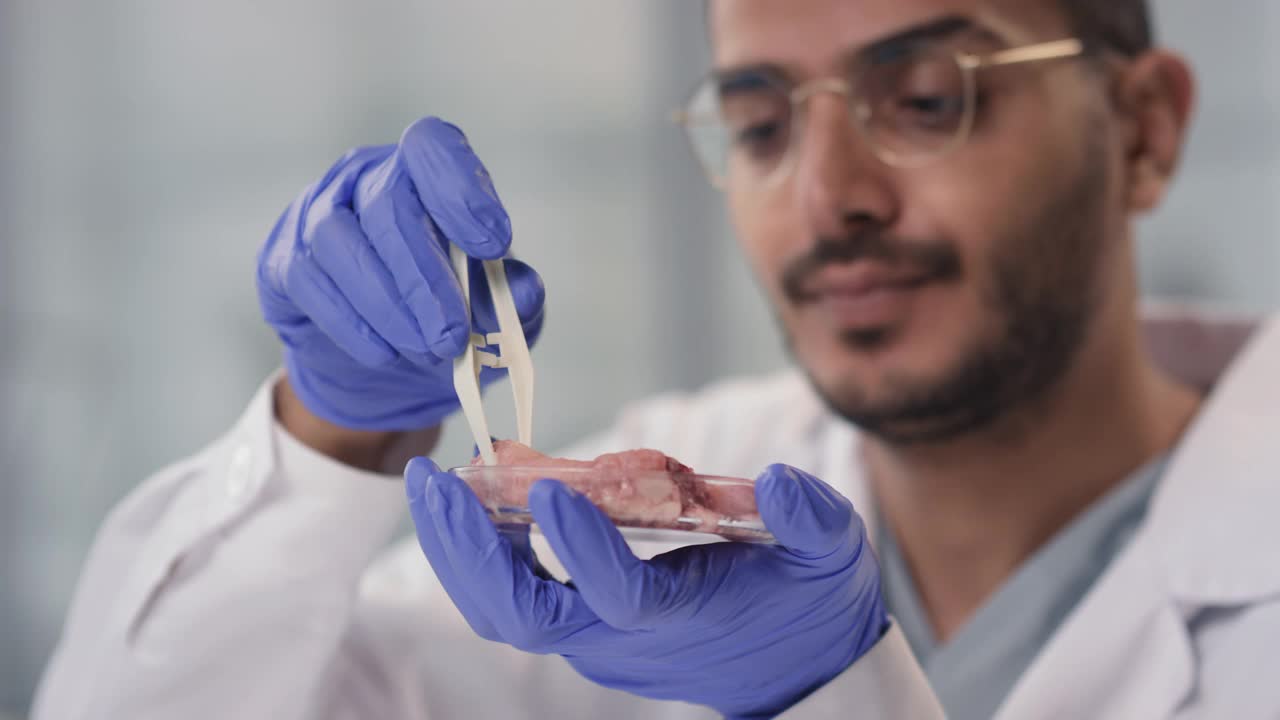 微生物学家检查肉类样品视频素材