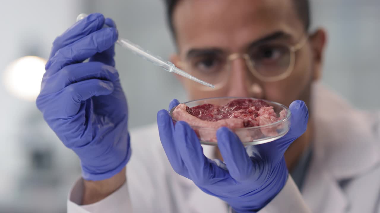 科学家检验人造肉视频素材