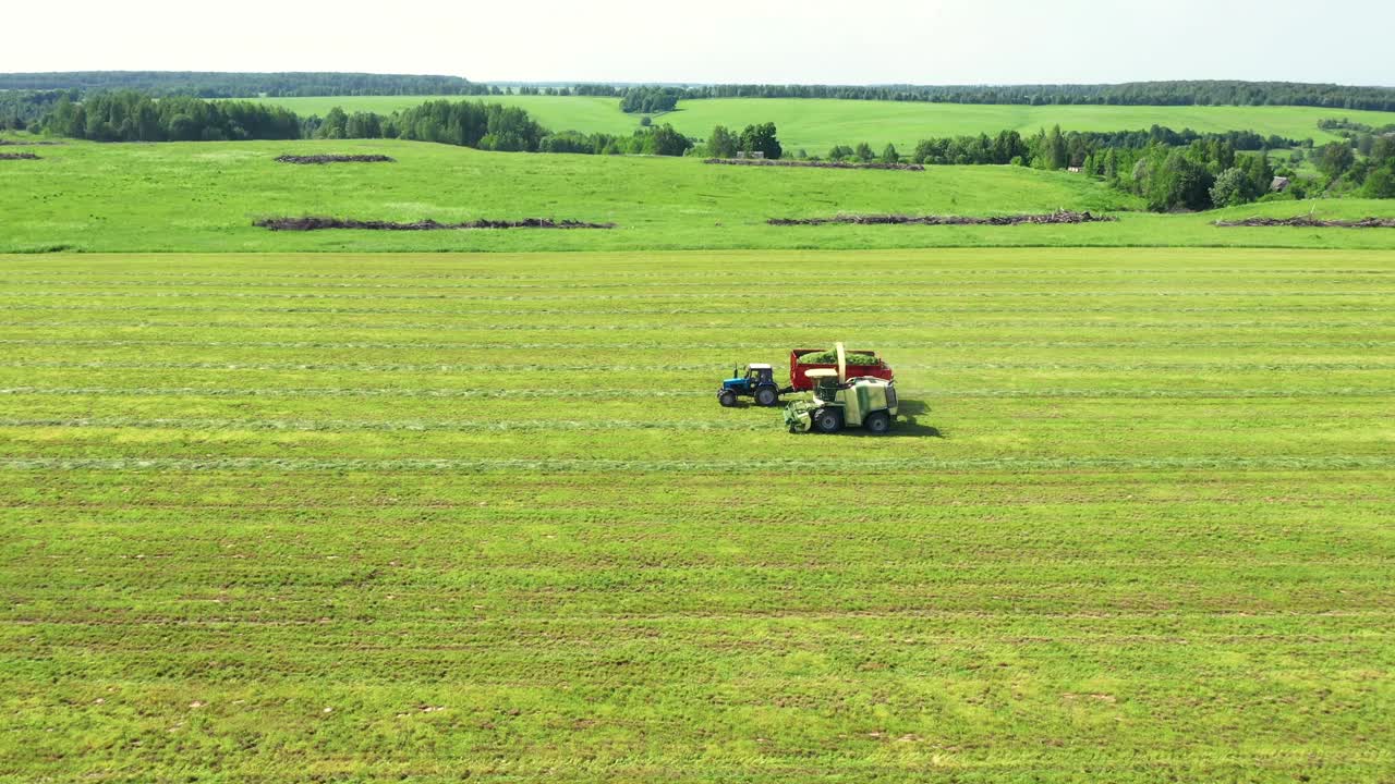 收割者从农田收集割好的草，并将其倒入拖拉机拖车视频素材