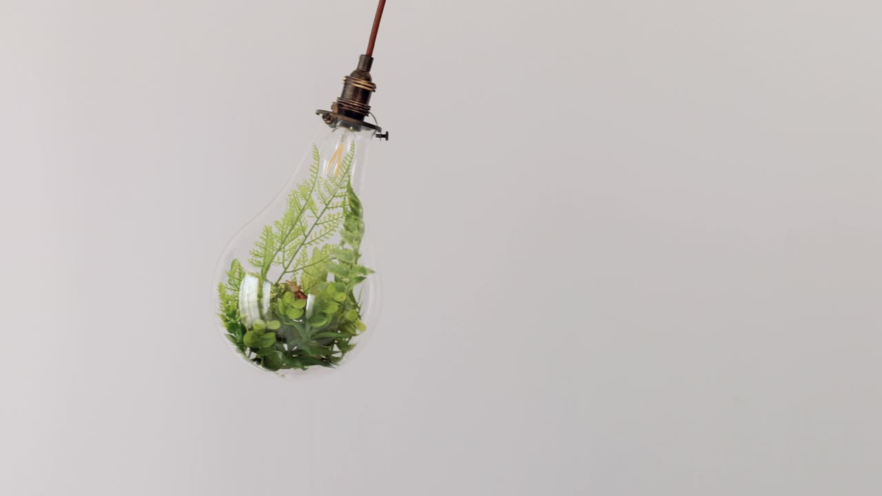 一段灯泡内植物被装饰和摇晃的视频。绿色能源、可再生能源和环境保护的形象视觉。视频下载