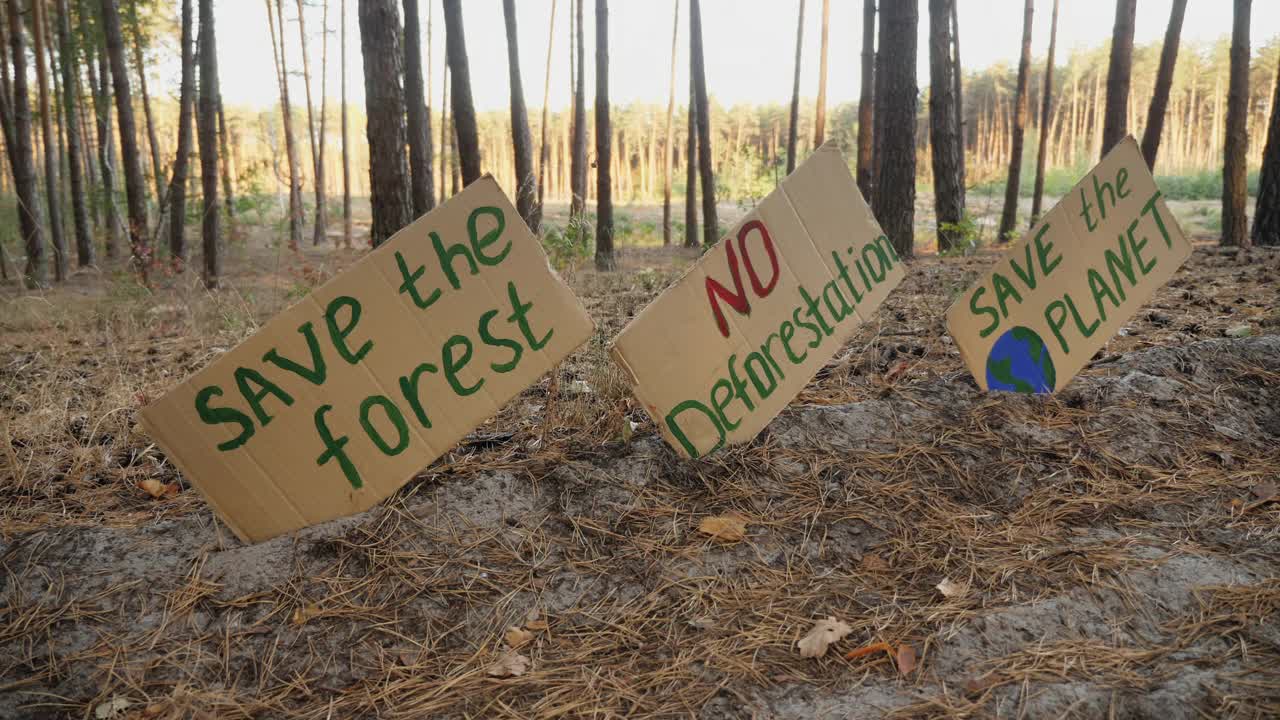 在森林里张贴有活动人士留言的硬纸板海报视频下载