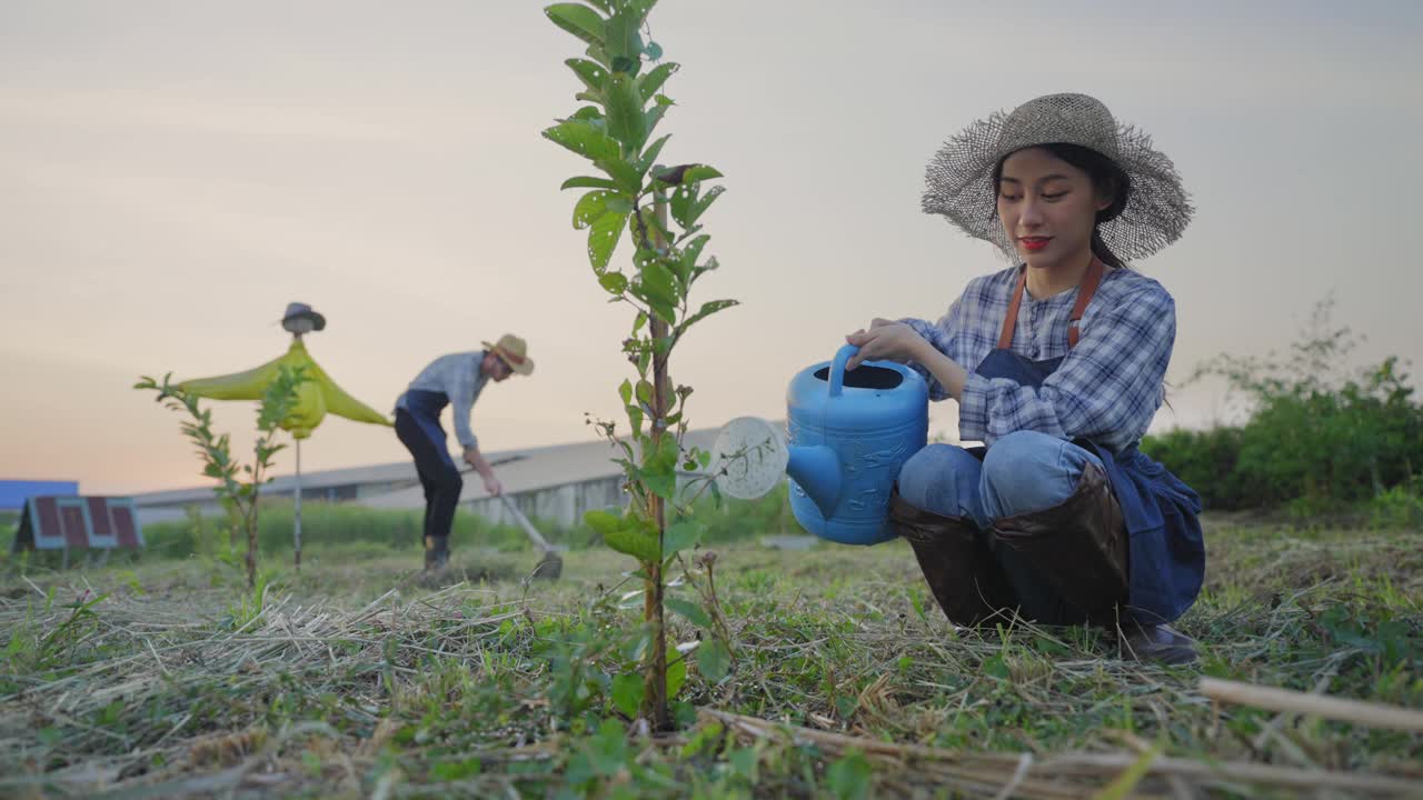白人男性和亚洲女性年轻的农民在夕阳下的有机农场工作，年轻的妇女坐在种植植物，而年轻的男子铲土壤的农业工人的概念，农业活动，农场，和水果产品。视频下载
