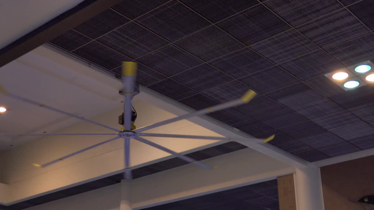 机场的大风扇视频下载