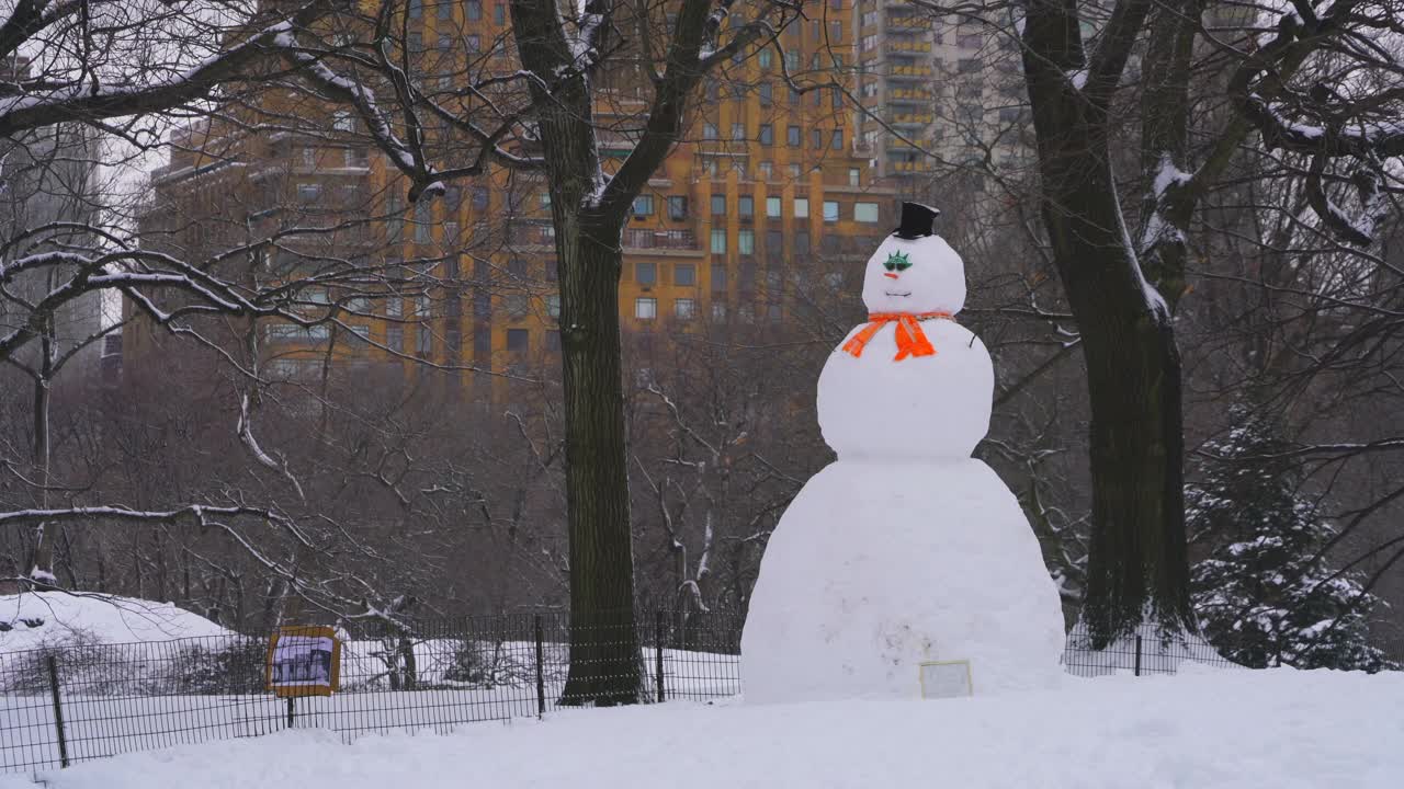 2019冠状病毒病(COVID-19)大流行期间，纽约市遭遇严重冬季暴风雪。视频素材