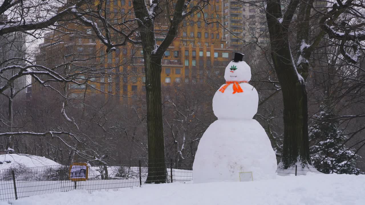 2019冠状病毒病(COVID-19)大流行期间，纽约市遭遇严重冬季暴风雪。视频素材