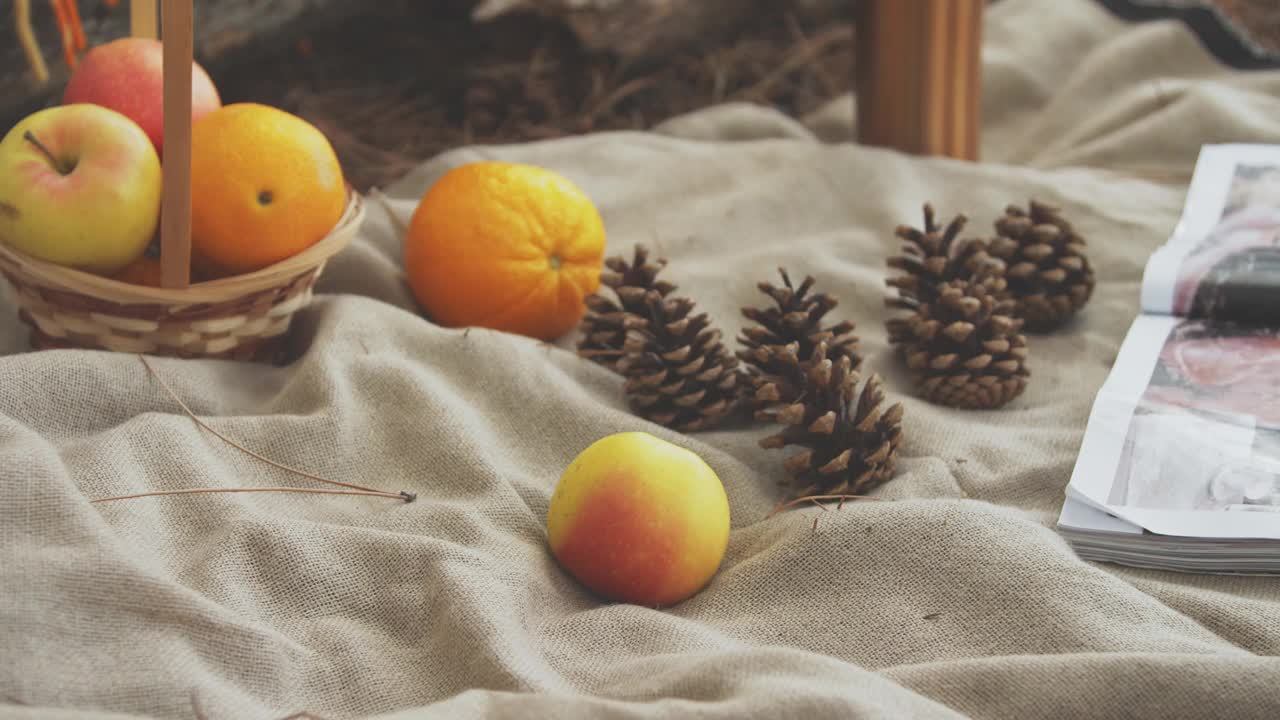 秋天野餐的想法组成的水果松果和一本杂志躺在地毯上女人的手拿一个苹果视频下载