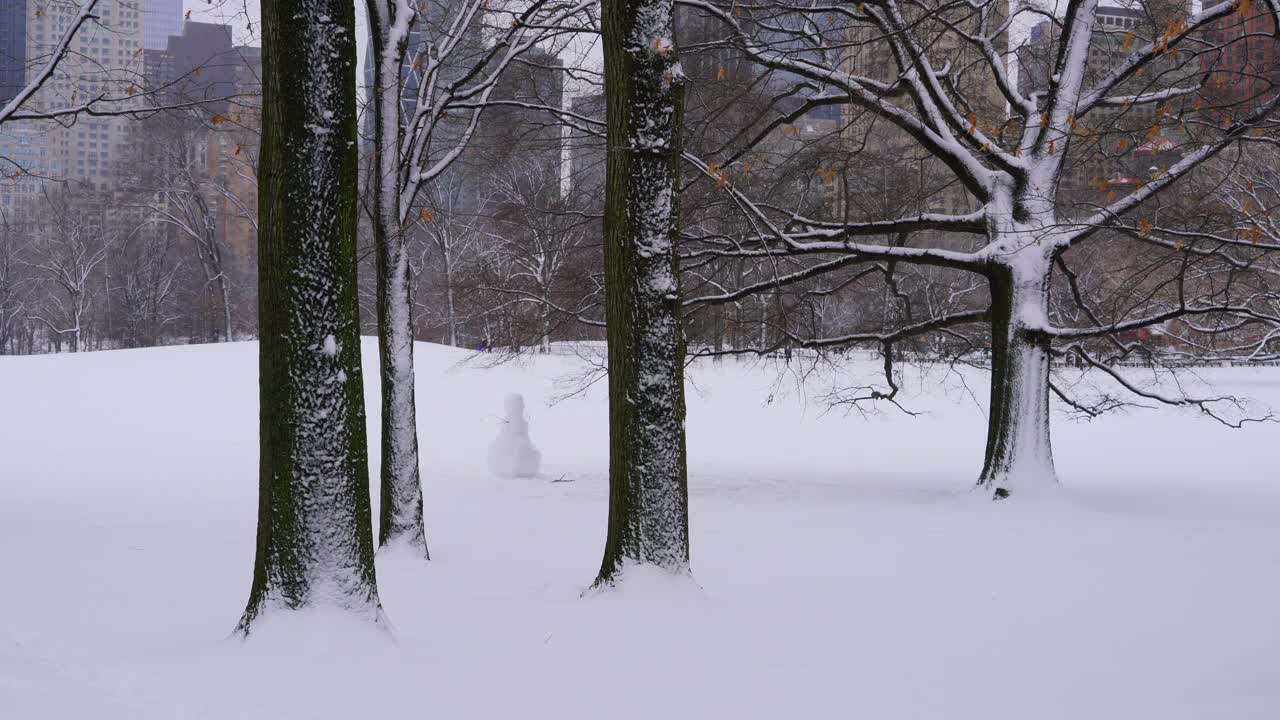 一个雪人站在中央公园白雪覆盖的绵羊草地上。视频素材