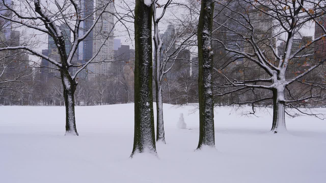 一个雪人站在中央公园白雪覆盖的绵羊草地上。视频素材