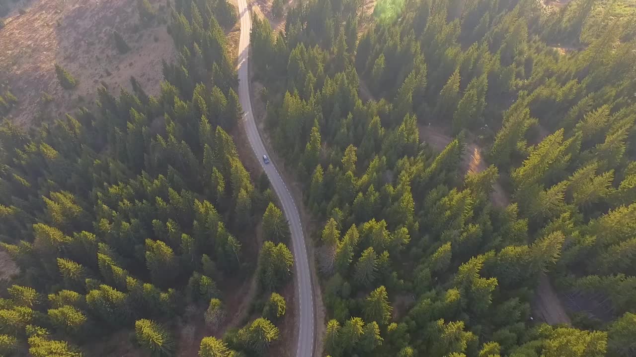鸟瞰图飞过破旧的两车道森林道路与汽车移动绿树茂密的树林生长的两边。汽车沿着森林道路行驶。汽车穿过松林。视频素材