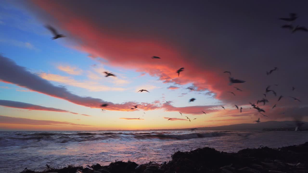 海岸上戏剧性的多彩日落。一群海鸥的剪影在水面上飞翔。海浪拍打着海岸。美丽海景，自由理念视频素材