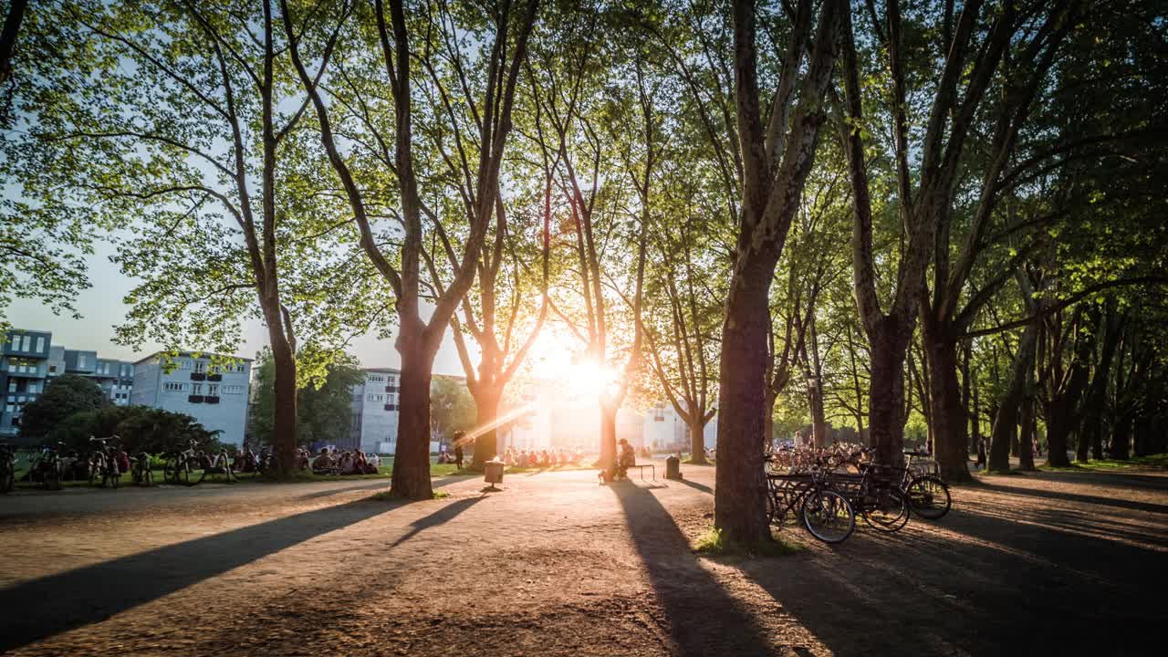 田园诗般的城市公园里的日落视频素材