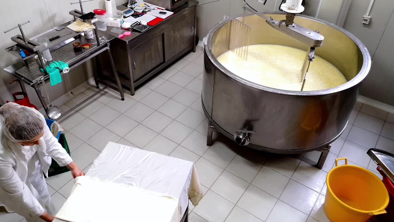 在奶酪工厂滚动奶酪的女工视频下载