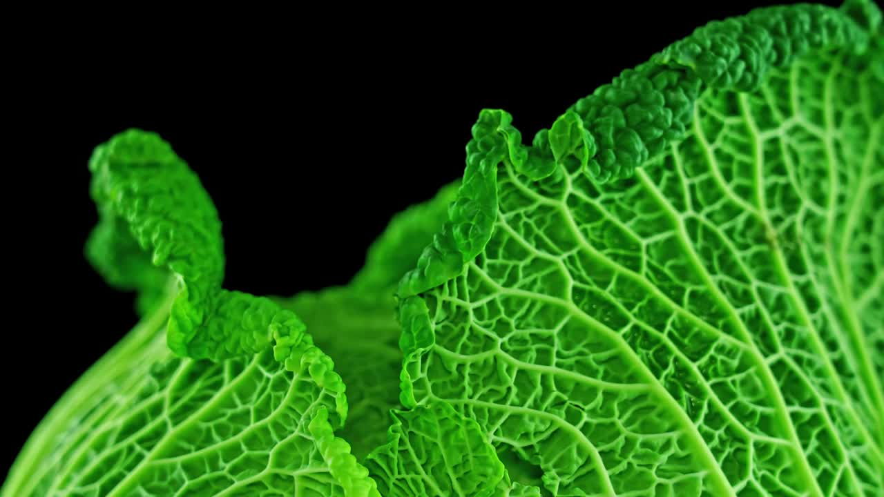 美味的绿色卷心菜叶子在黑色的背景视频下载