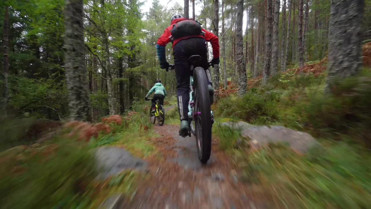 近后方的两个山地车骑自行车沿着森林自行车道视频下载