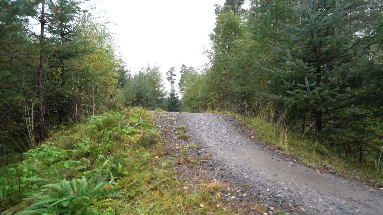 两个山地车骑手沿着森林自行车道快速骑行视频素材