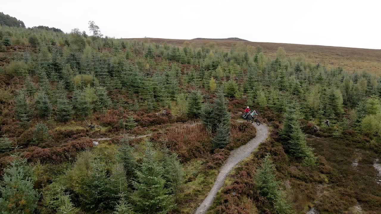 头顶上的无人机视图，两个山地自行车沿着森林自行车道骑行视频素材