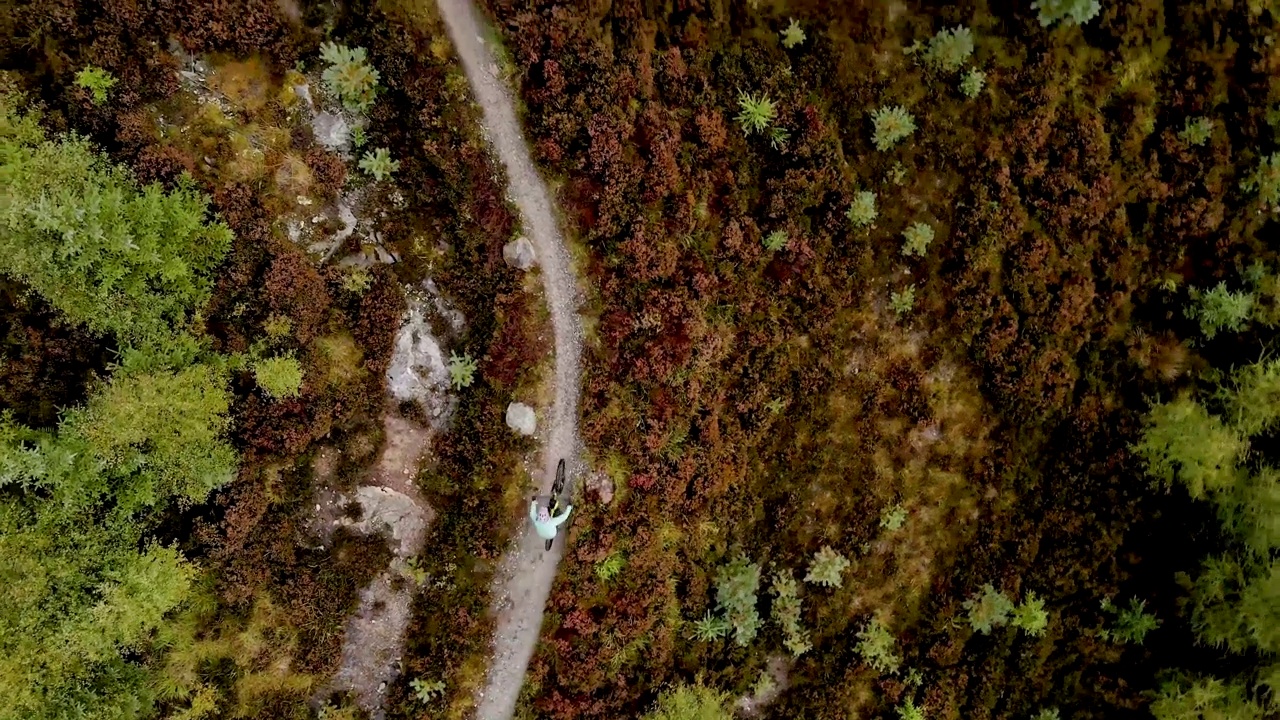 头顶上的无人机视图，一个女性山地自行车沿着森林自行车道骑行视频下载