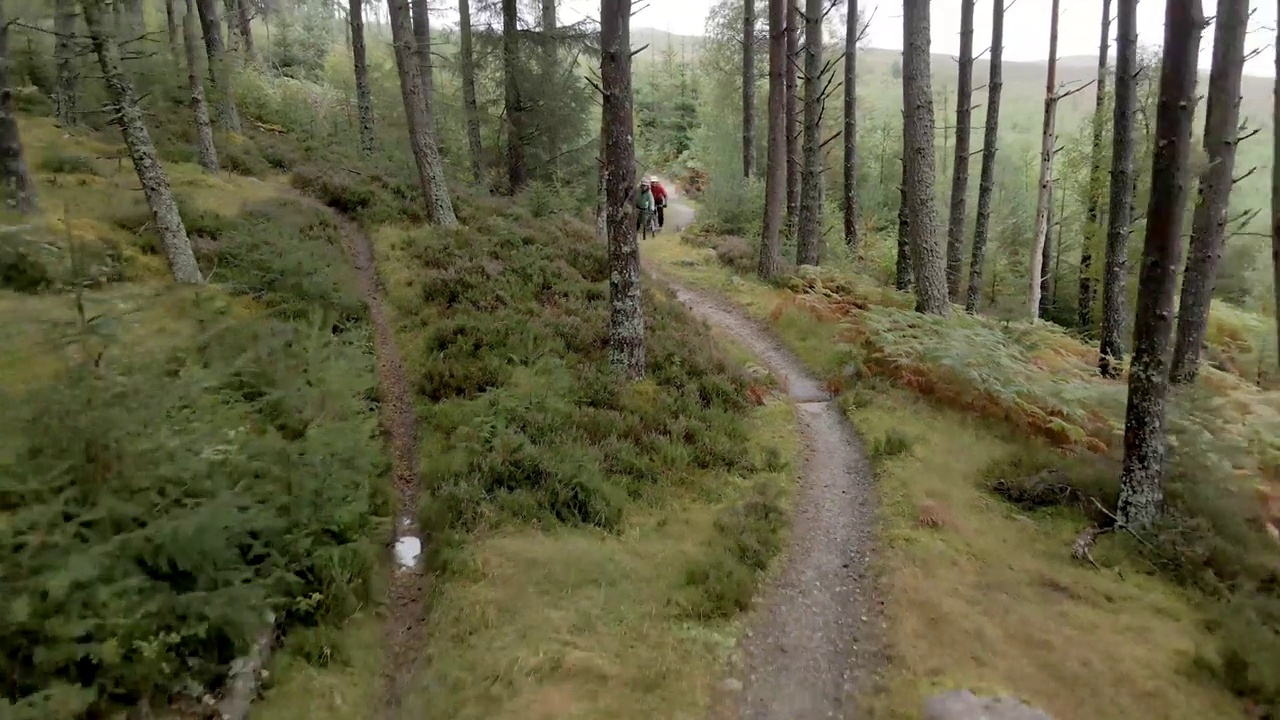 无人机拍摄到两名山地自行车手在一条树木繁茂的自行车道骑车视频素材