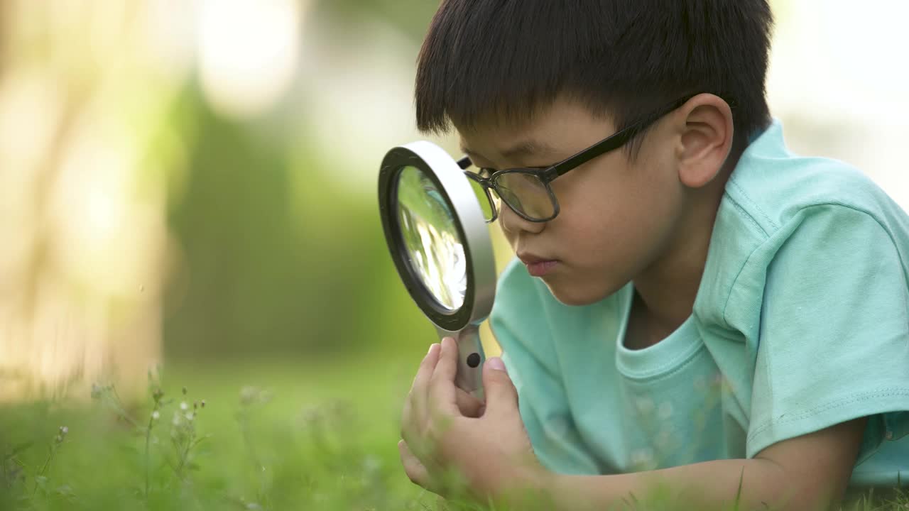 孩子用放大镜在户外学习。概念、自我学习和环境视频素材