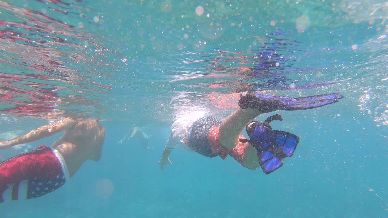 一群人在夏威夷毛伊岛卡阿纳帕里海滩的海洋中浮潜和游泳。视频下载