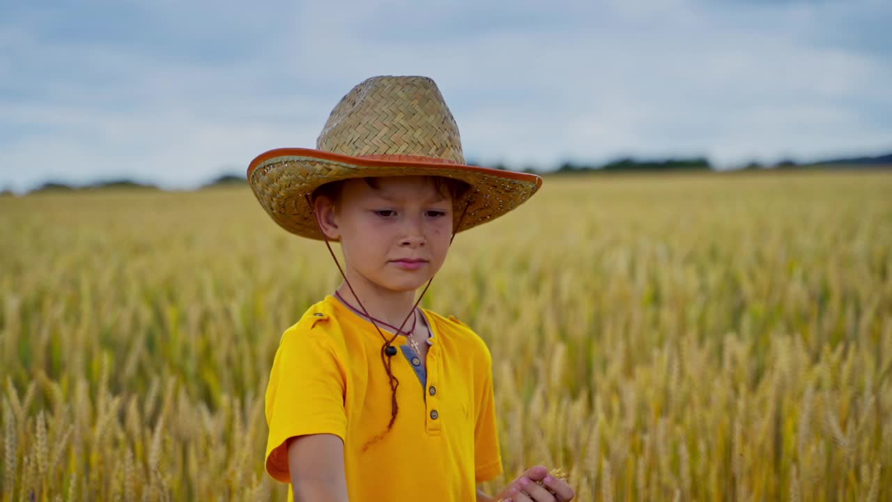 农地里的小孩。戴草帽的男孩捧着麦穗，看着成熟的麦穗。黄色田野上的小农夫。视频素材