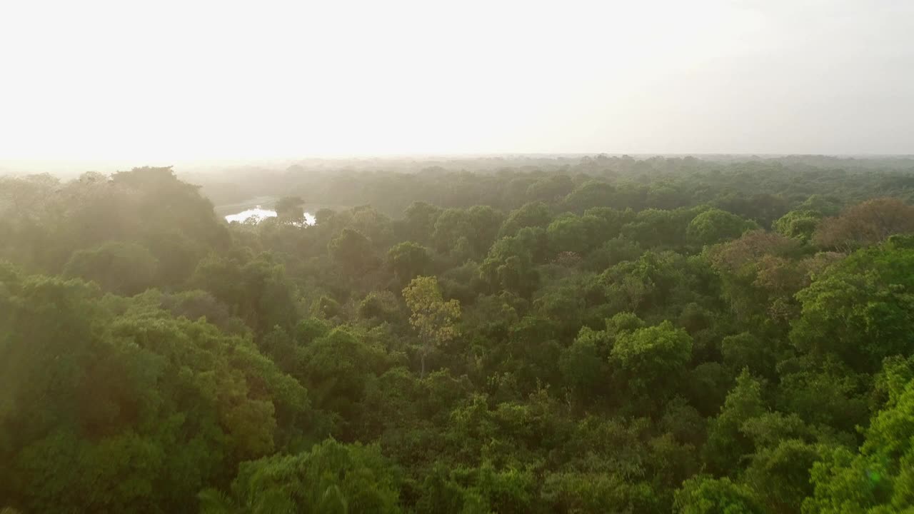 从森林上空飞向Rebel湖视频下载