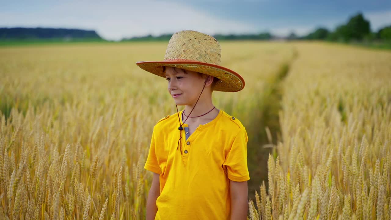 穿着黄色t恤的男孩在田里长着小穗。一个戴着帽子的小农民的肖像在农村的农业。视频素材