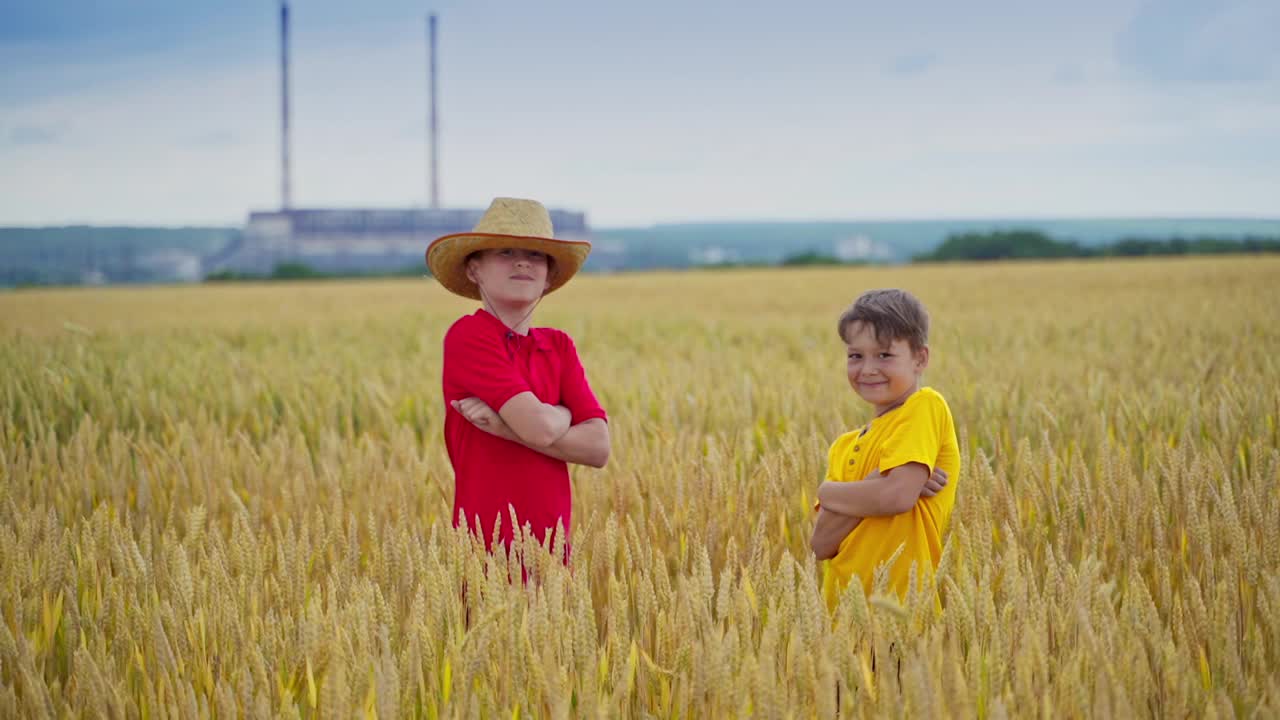 田野里的兄弟们。在农村的背景下，两个男孩站在麦田里。夏天，孩子们在农田里玩耍。视频素材