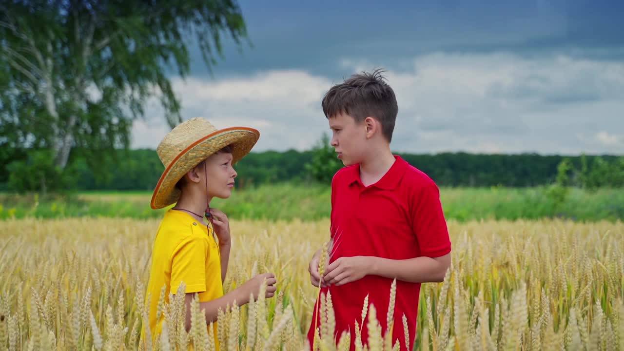 孩子们在乡村的夏日大自然中。男孩们站在地里，种着农用植物，看着小穗。视频素材