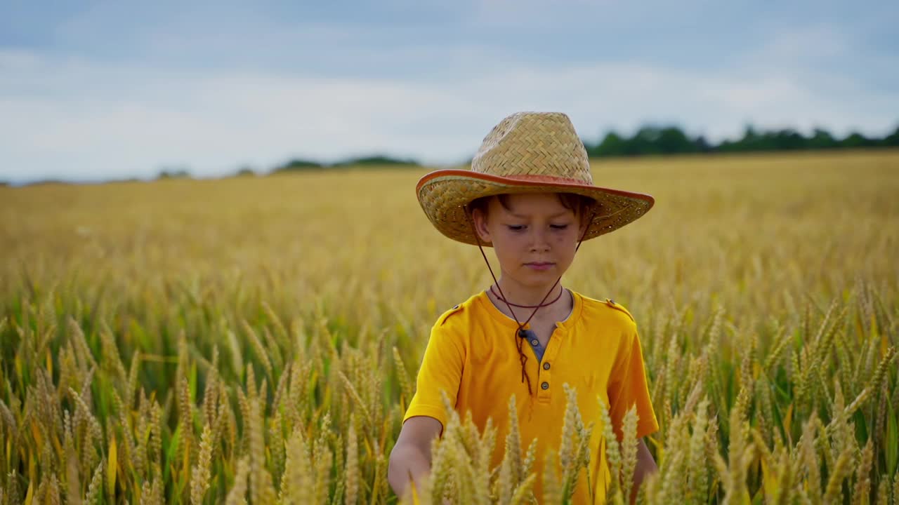小农学家的肖像。穿着黄色t恤，戴着草帽的可爱男孩站在麦田里。在农田里微笑的孩子。视频素材