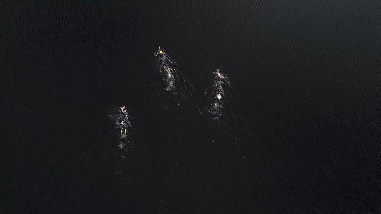 无人机拍摄的开放水域游泳者在一个苏格兰湖游泳视频素材