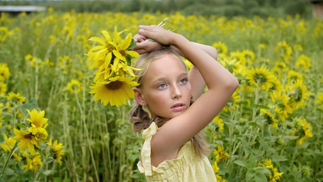 美丽的少女与黄花摆姿势在盛开的田野。迷人的年轻模特与向日葵盛开的草地在夏季农村视频下载