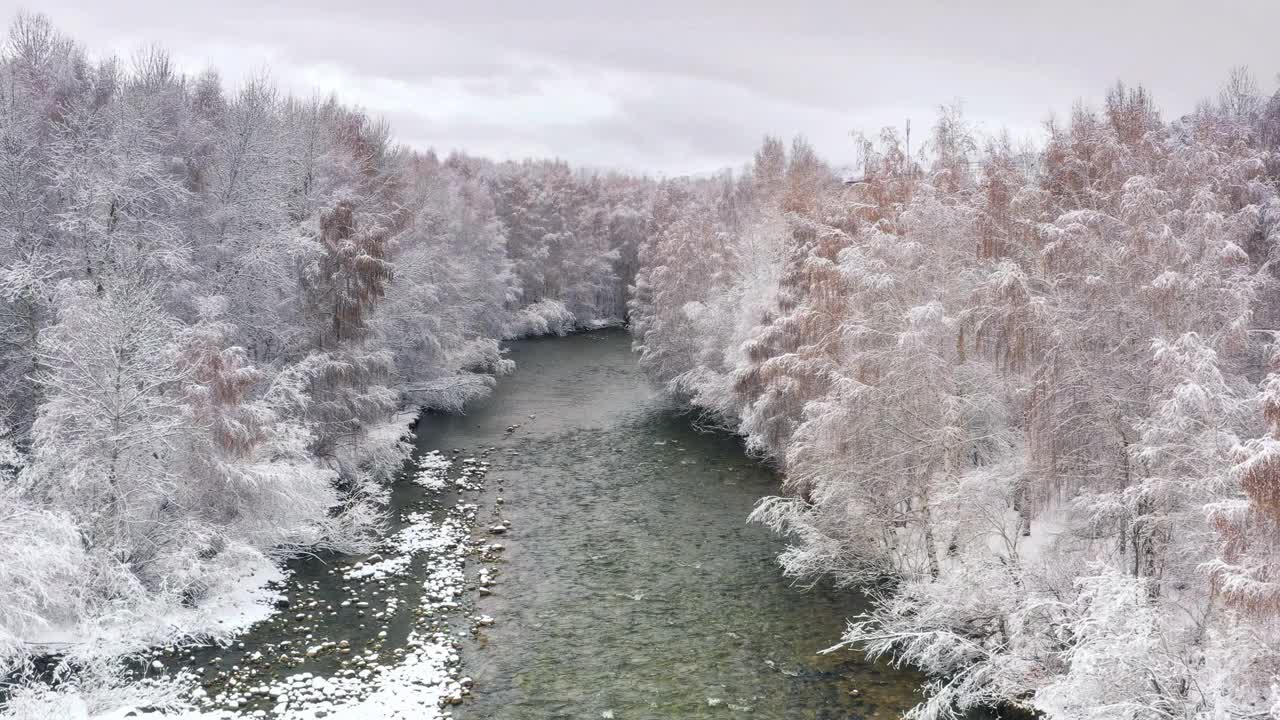 森林里下了一整夜的雪，森林变成了梦幻般的雾凇，河流仍然穿过它视频素材