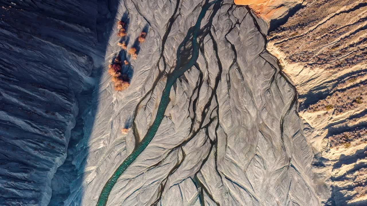 山谷的河床上长着几棵树视频下载