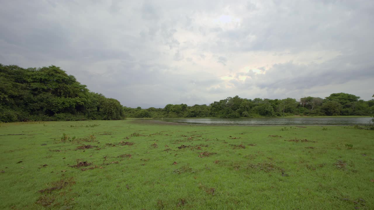 时光流逝拍摄的湖岸转变为沼泽视频素材
