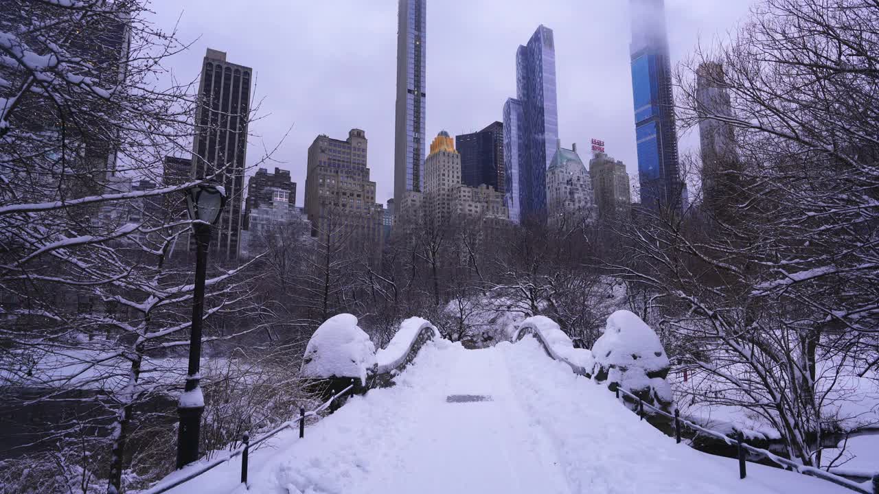2019冠状病毒病(COVID-19)大流行期间，纽约市遭遇严重冬季暴风雪。视频下载